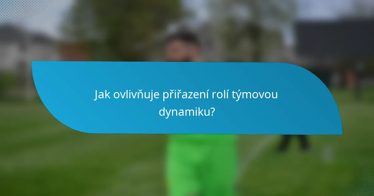 Jak ovlivňuje přiřazení rolí týmovou dynamiku?