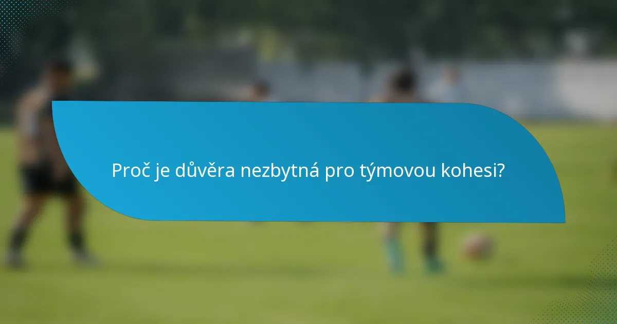 Proč je důvěra nezbytná pro týmovou kohesi?